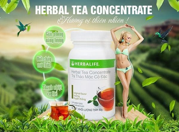 uống trà thảo mộc Herbalife có giảm cân không
